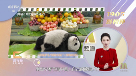 夜夜爽网站